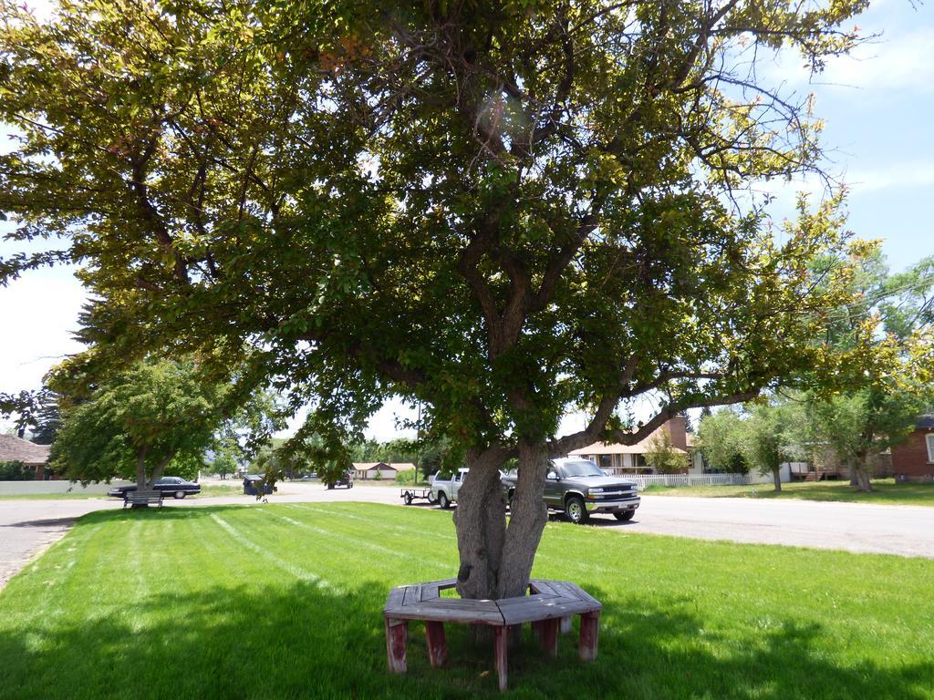 Canyon Lodge Motel Panguitch Buitenkant foto