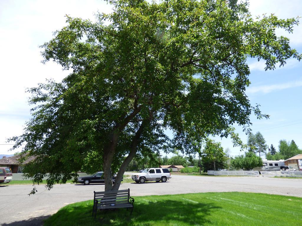 Canyon Lodge Motel Panguitch Buitenkant foto